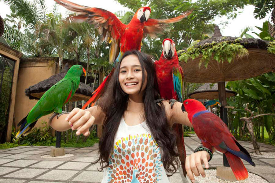 Bali-Bird-Park
